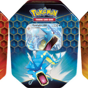 Pokemon TCG Hidden Fates Tin Artset 2