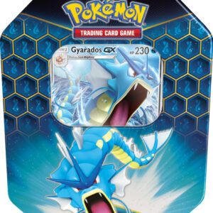 Pokemon TCG Hidden Fates Tin Artset 4