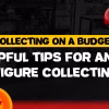 Collecting Anime Figure